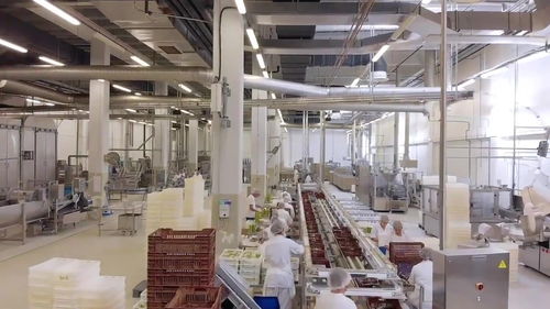 驚人的食品機械加工過程 看著我都感覺餓了
