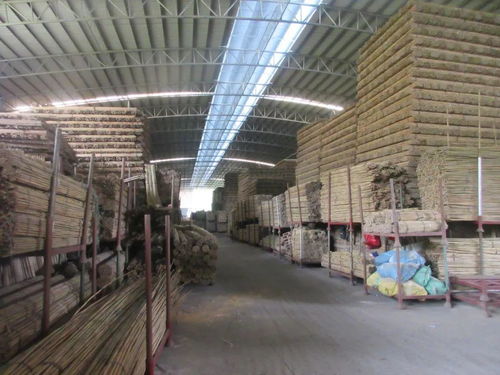 懷集這兩個基地榮獲 肇慶市巾幗創(chuàng)業(yè)示范基地 稱號